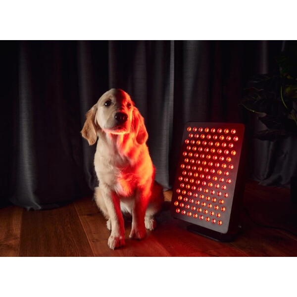 Starter 5.0 , Panou de emisie cu lumină roșie și infraroșu apropiat, 112 LED-uri, MitoLight, изображение 8