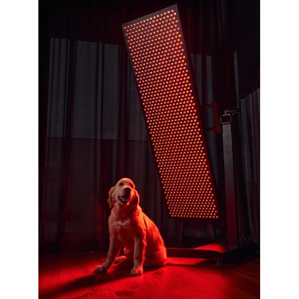 Master 5.0 , Panou de emisie cu lumină roșie și infraroșu apropiat, 990 LED-uri, MitoLight, изображение 3